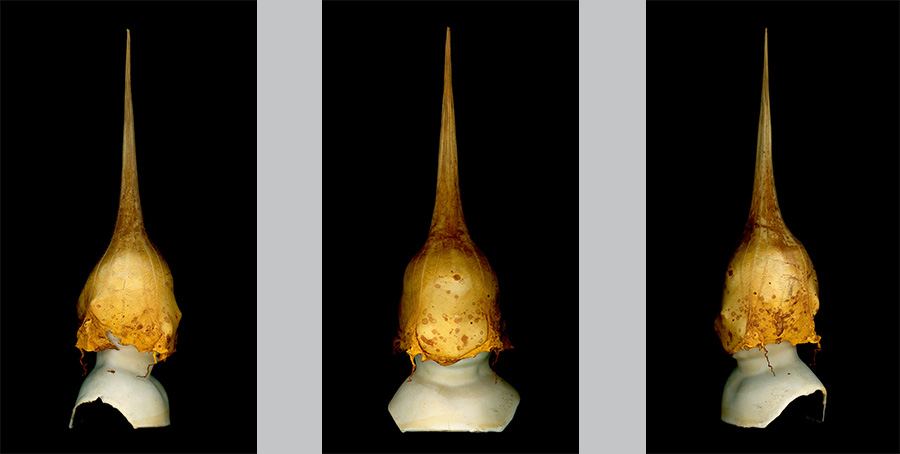 Das mit dem Goldhelm